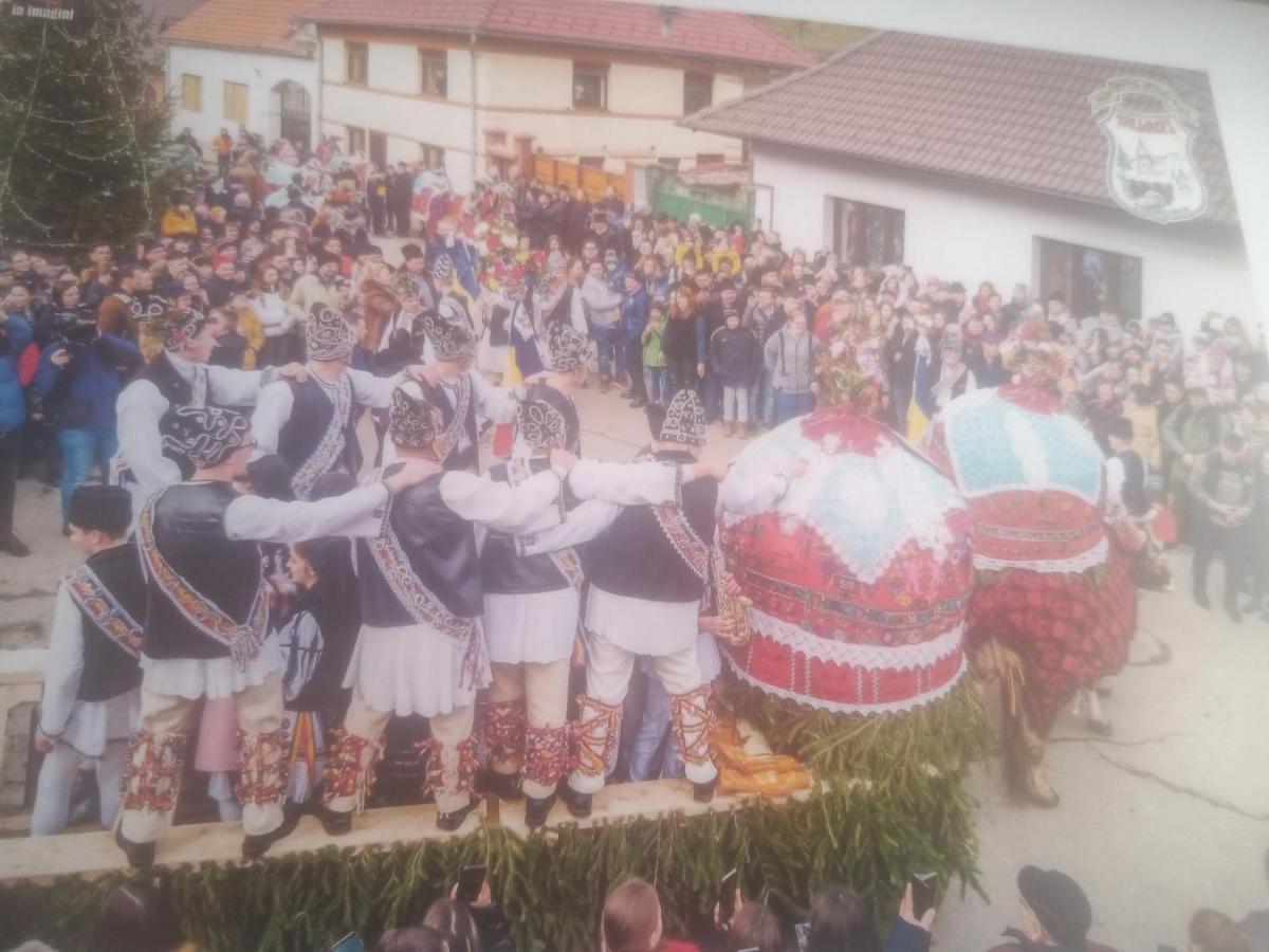 Pensiunea Casa Roman Tălmaciu Exterior foto